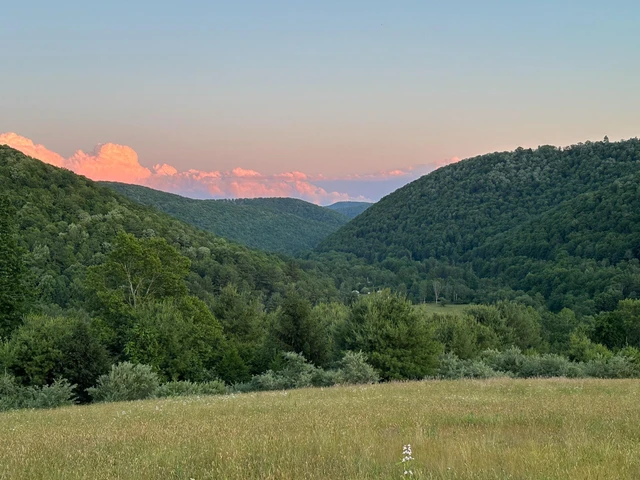Nearby Listing Image