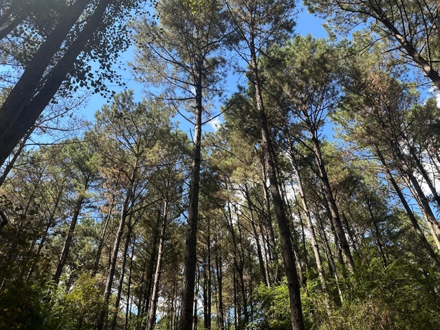 Nearby Listing Image