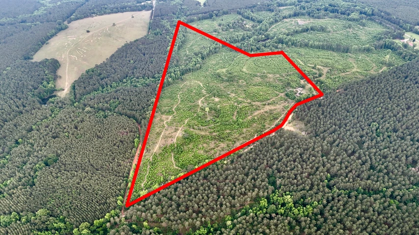 Nearby Listing Image