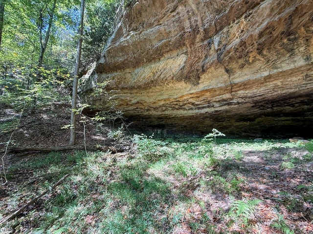 Nearby Listing Image