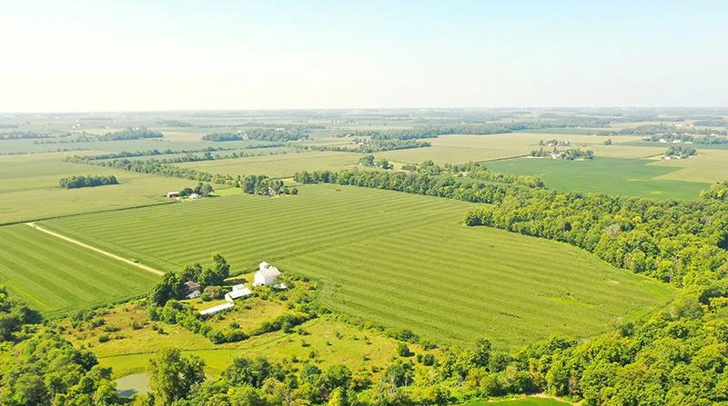Nearby Listing Image