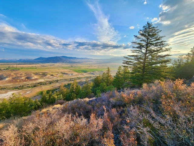 Nearby Listing Image