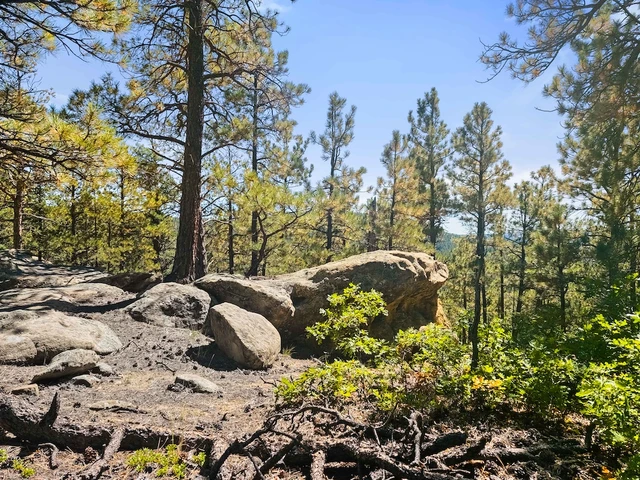 Nearby Listing Image