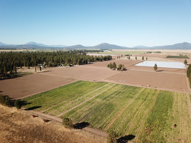 Nearby Listing Image