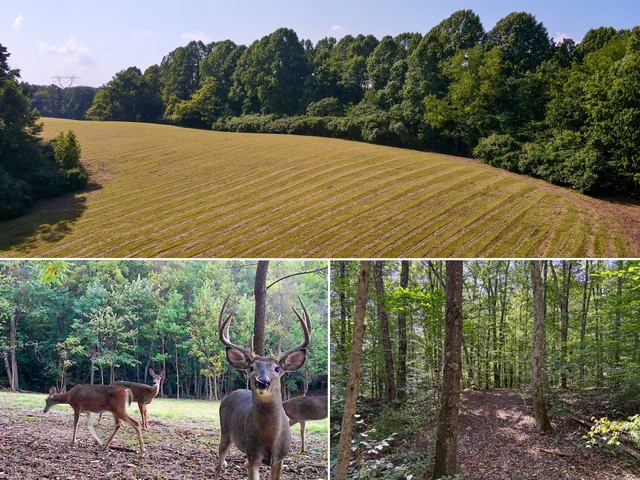 Nearby Listing Image