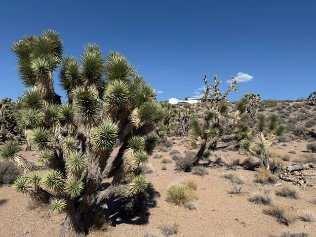 Nearby Listing Image