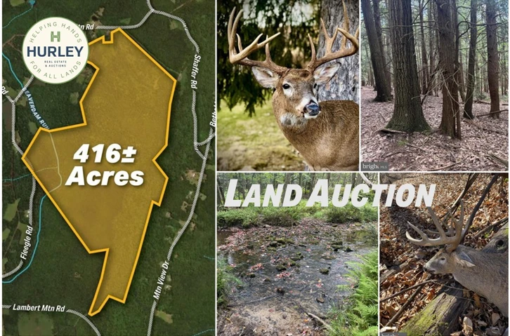 Nearby Listing Image