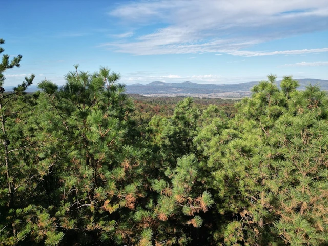 Nearby Listing Image