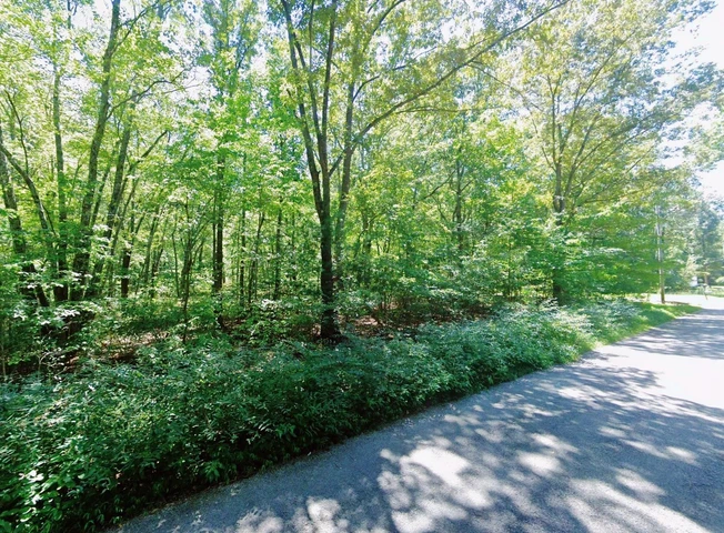 Nearby Listing Image