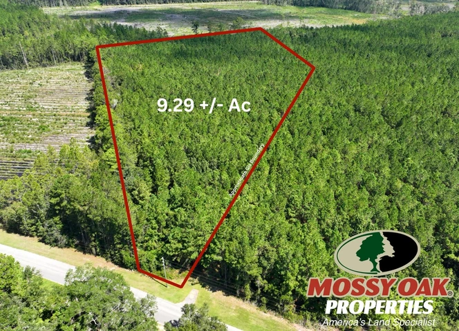 Nearby Listing Image