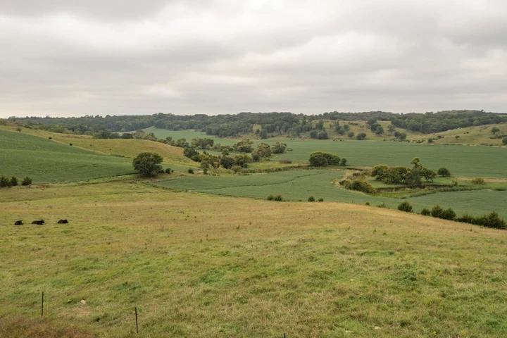Nearby Listing Image