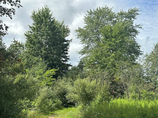 Nearby Listing Image