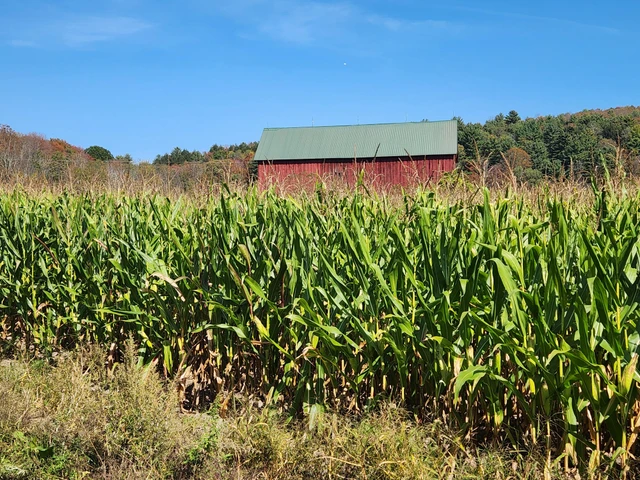 Nearby Listing Image