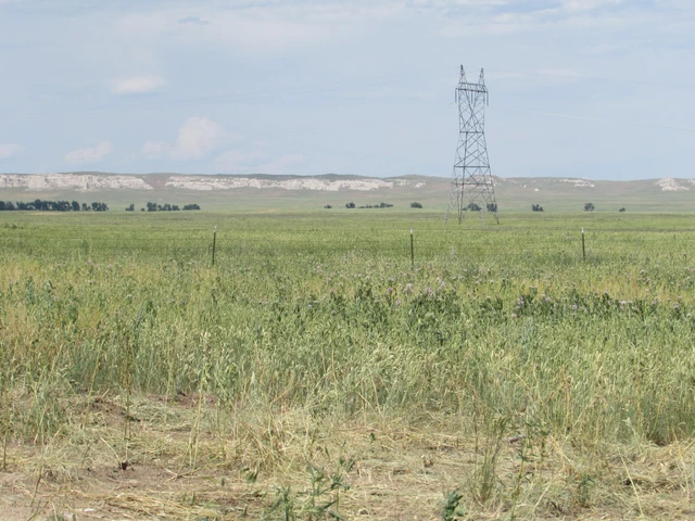 Nearby Listing Image
