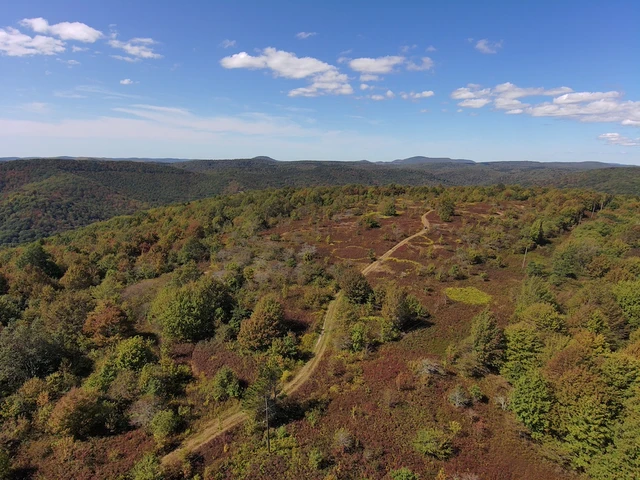 Nearby Listing Image