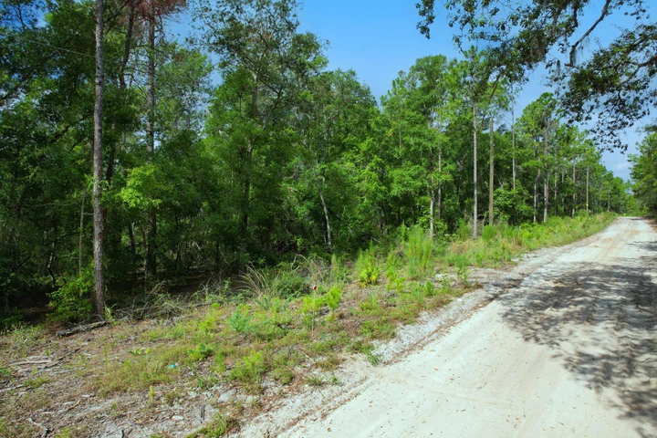 Nearby Listing Image