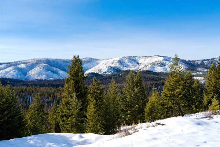 Nearby Listing Image