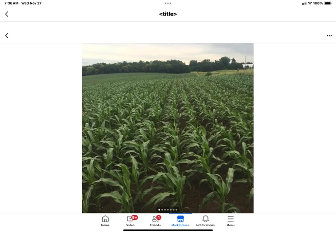 Nearby Listing Image