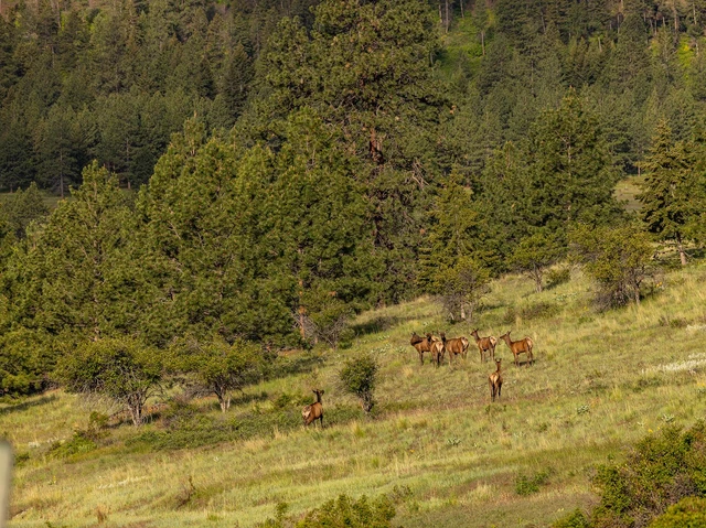 Nearby Listing Image