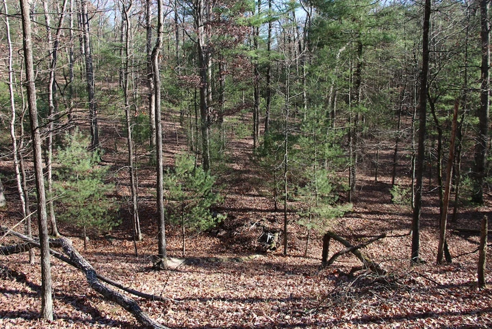 Nearby Listing Image