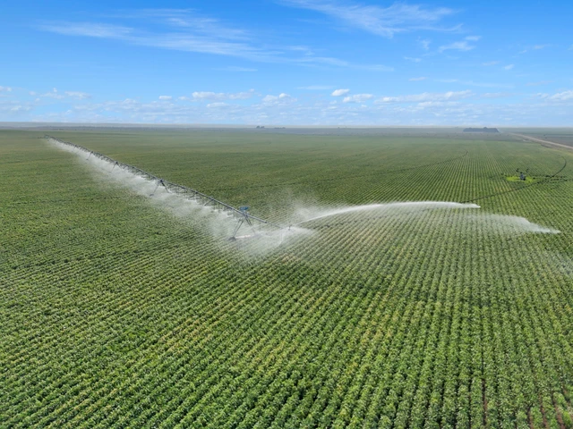 Nearby Listing Image