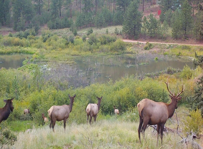 Nearby Listing Image