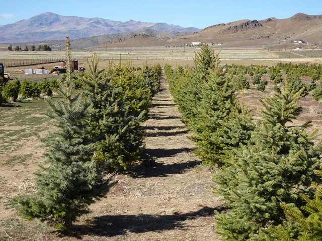 Nearby Listing Image