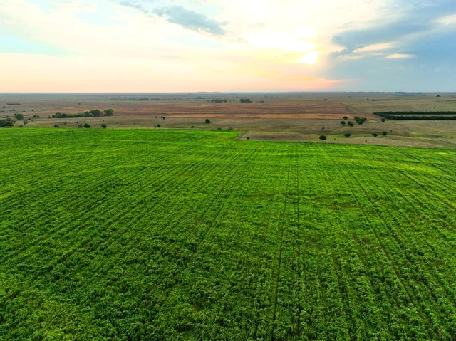 Nearby Listing Image