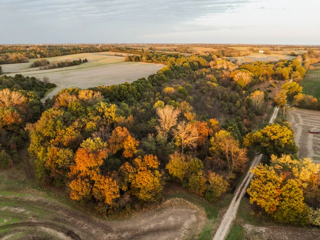 Nearby Listing Image