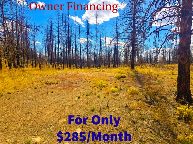 Nearby Listing Image