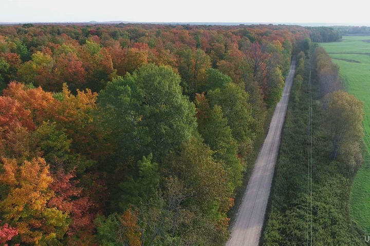 Nearby Listing Image