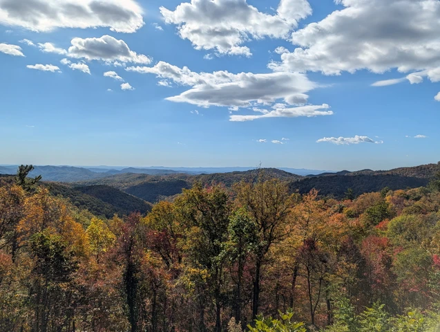 Nearby Listing Image