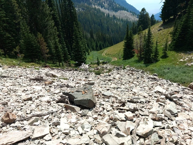 Nearby Listing Image