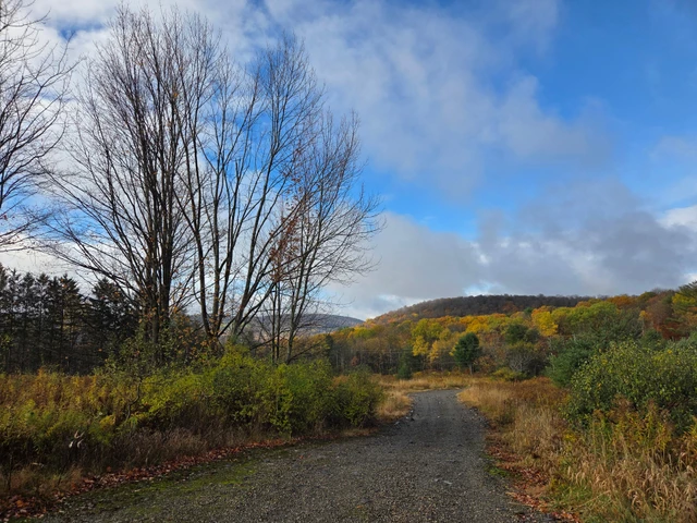 Nearby Listing Image