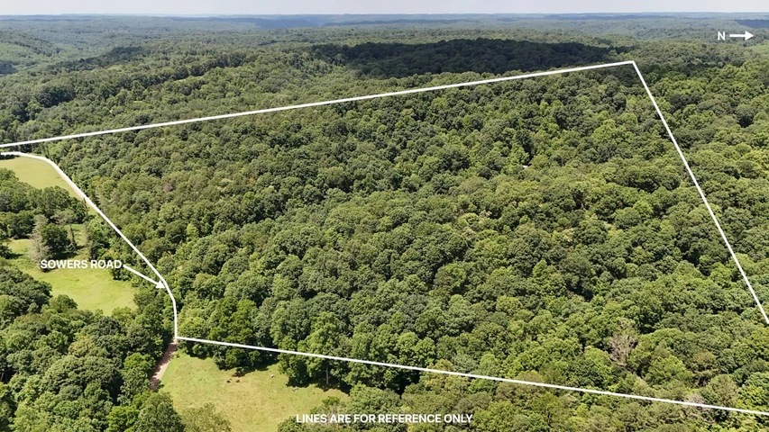 Nearby Listing Image