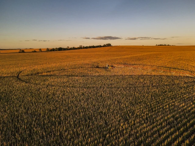 Nearby Listing Image