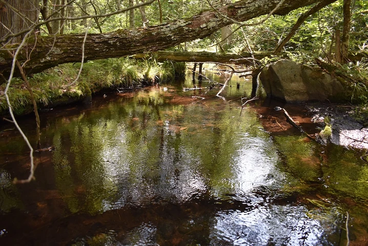 Nearby Listing Image