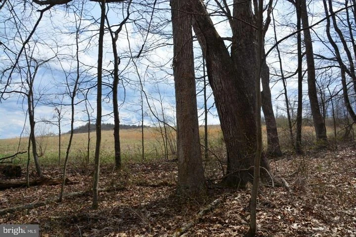 Nearby Listing Image