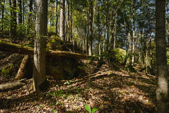 Nearby Listing Image