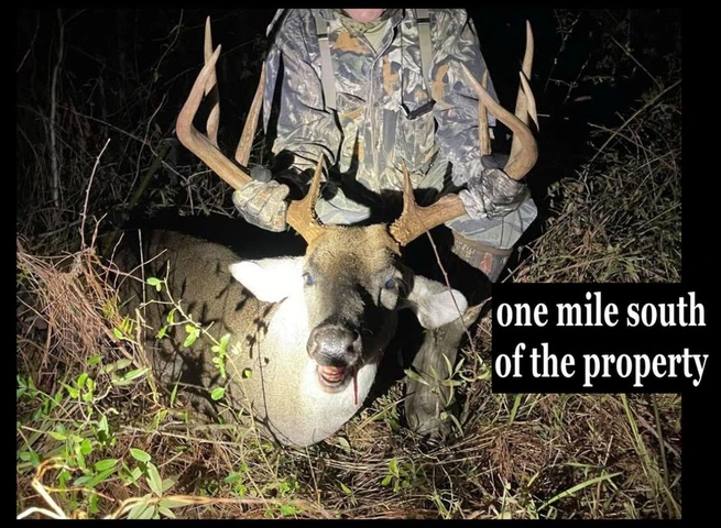 Nearby Listing Image