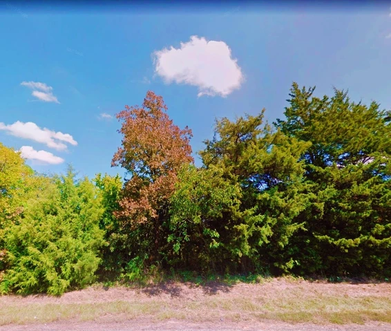 Nearby Listing Image