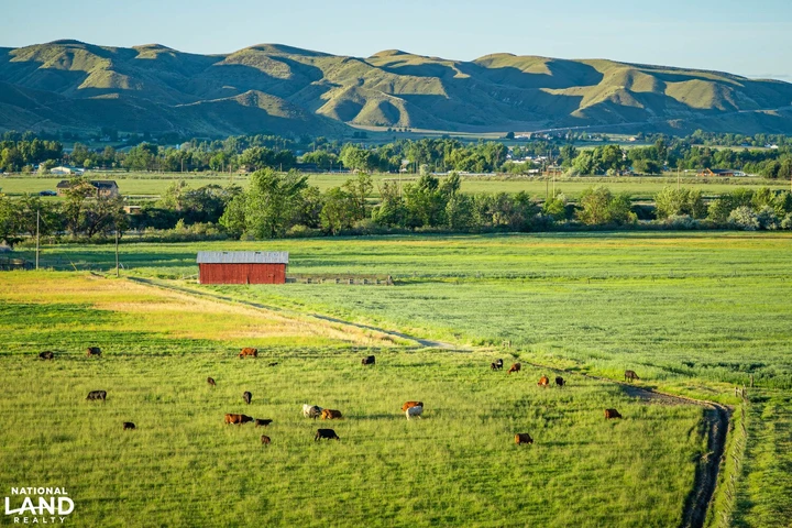 Nearby Listing Image