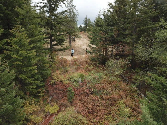 Nearby Listing Image