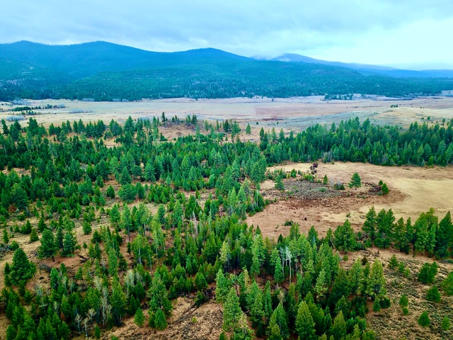 Nearby Listing Image