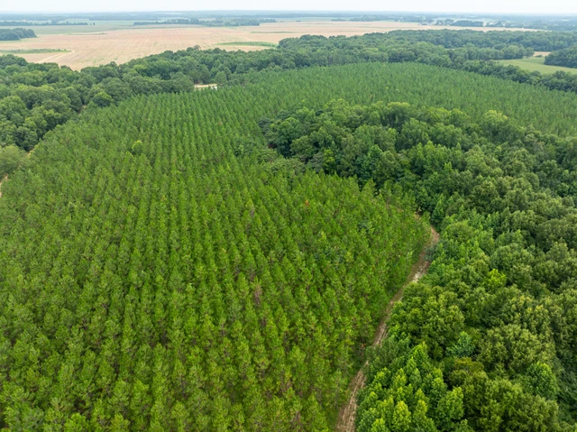 Nearby Listing Image