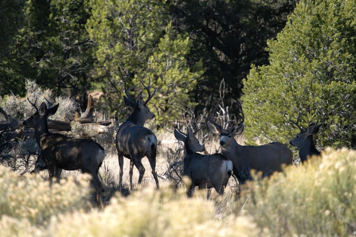 Nearby Listing Image