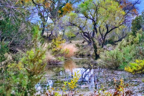 Nearby Listing Image