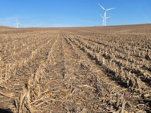 Nearby Listing Image