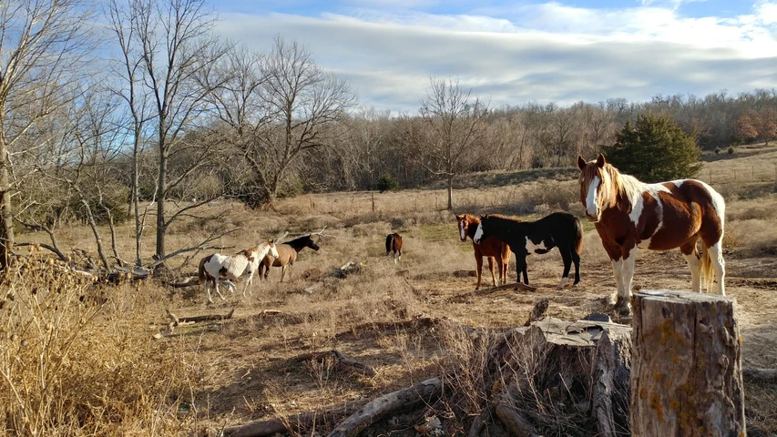 Nearby Listing Image