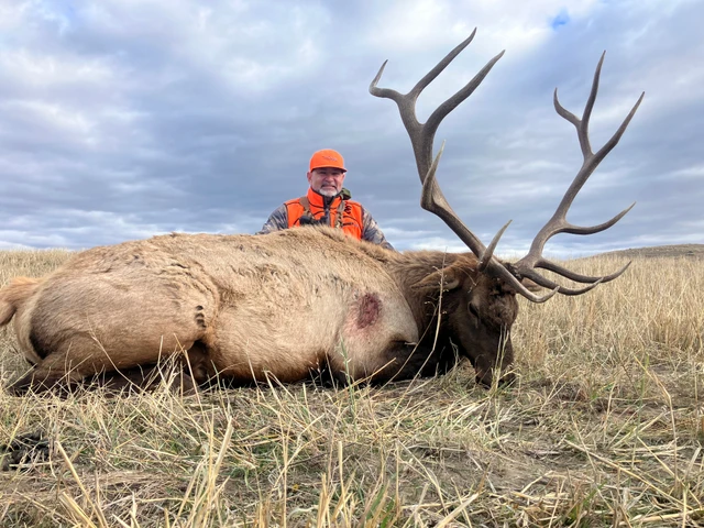 Nearby Listing Image